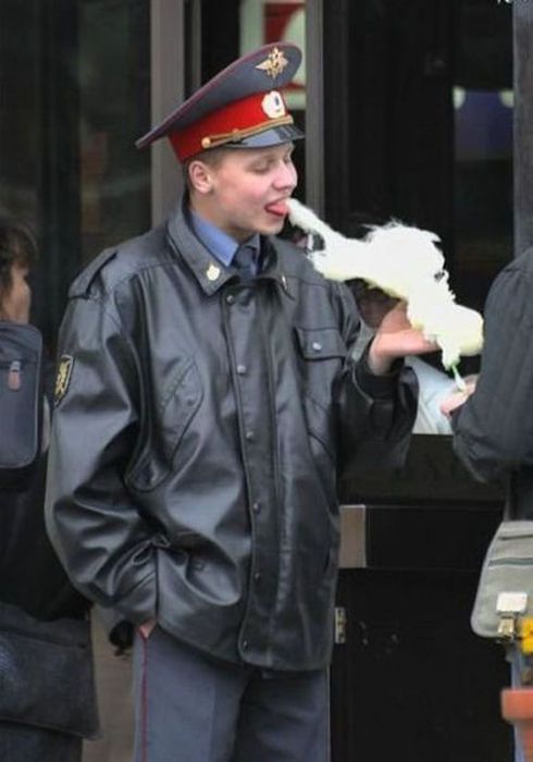 Такое возможно только в России. Часть 6. (60 фото)