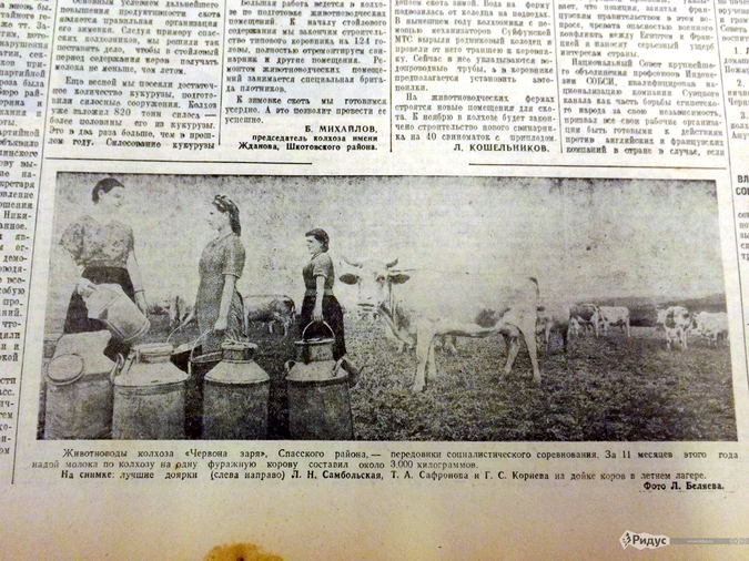 ������ ������ ��������: � ��� ������ ������ � 1956-�