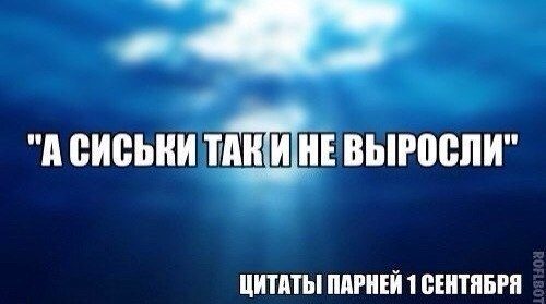 Цитаты на понедельник умные, забавные и разно-всякие Цитаты на понедельник умные, забавные и разно-всякие