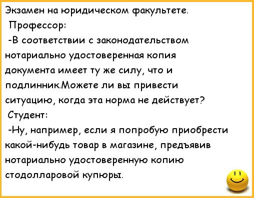 Одежда для таксы своими руками. Выкройки для таксы Одежда в одноклассниках - БэбиБлог