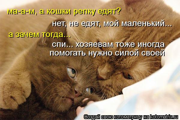 Котоматрица: ма-а-м, а кошки репку едят? нет, не едят, мой маленький... а зачем тогда... спи... хозяевам тоже иногда  помогать нужно силой своей