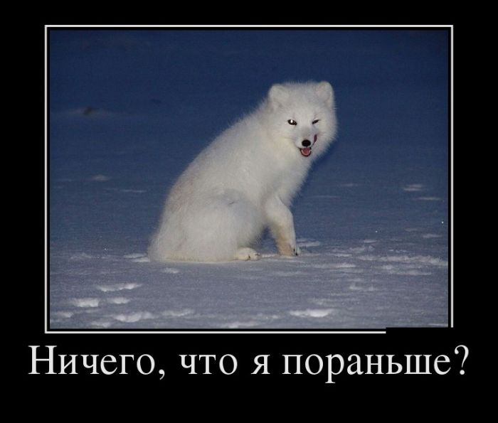 Мотивашка, как бы предновогодняя...