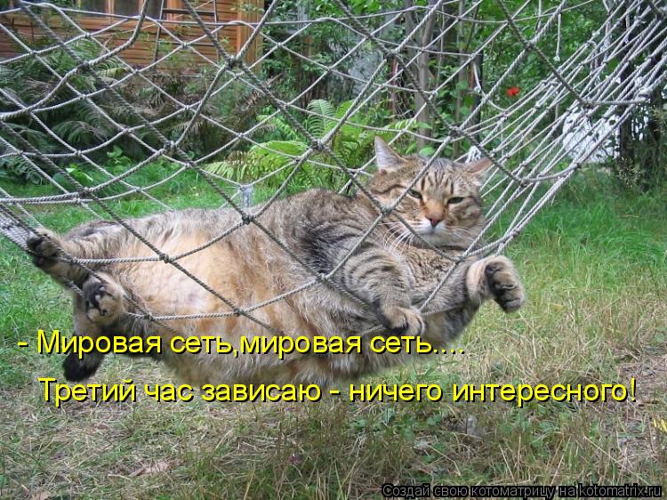 Котоматрица - - Мировая сеть,мировая сеть.... Третий час зависаю - 
ничего интересног