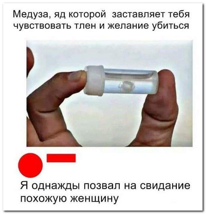 100% приколы, которые обязательно поднимут настроение 100% приколы, которые обязательно поднимут настроение