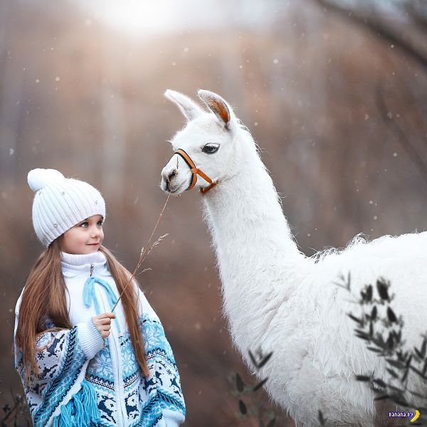 Самая красивая девочка в мире Самая красивая девочка в мире
