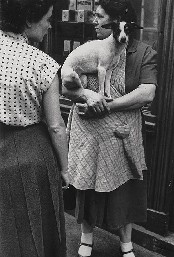 BnWphotos29 50 �������� ����� ����� ������� �� �������� ����������