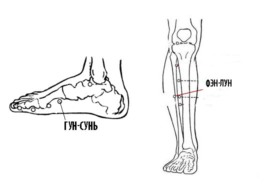 Точки Гун-сунь и Фэн-лун