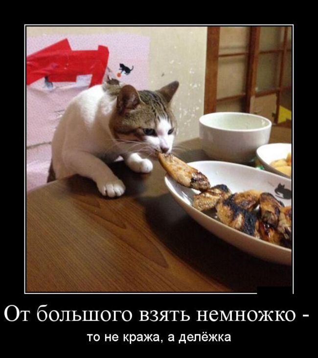 Демотиваторы (30 фото)