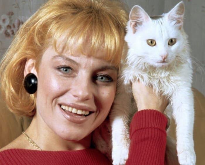 Легенды 1990-х: Ирина Понаровская, или История о том, почему «Мисс Шанель Советского Союза» ушла со сцены Легенды 1990-х: Ирина Понаровская, или История о том, почему «Мисс Шанель Советского Союза» ушла со сцены