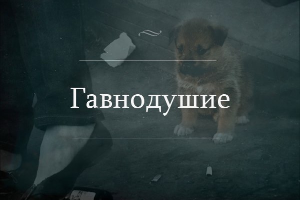   :  