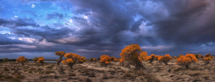 Хочу в Казахстан казахстан, природа, красота