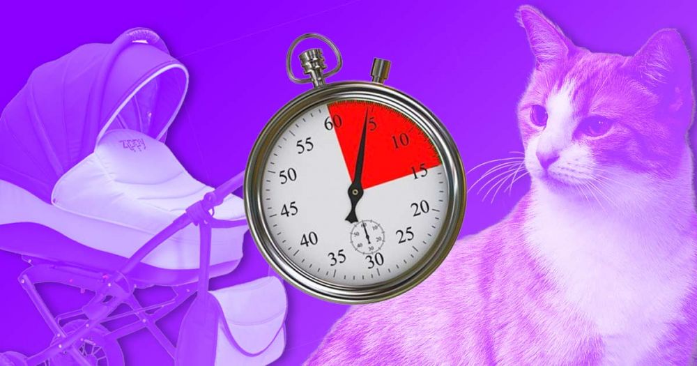 6 добрых дел, которые ты можешь успеть сделать до Нового года
