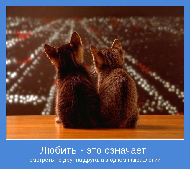 Ушёл любимый? Пора начать новую жизнь! Ушёл любимый? Пора начать новую жизнь!