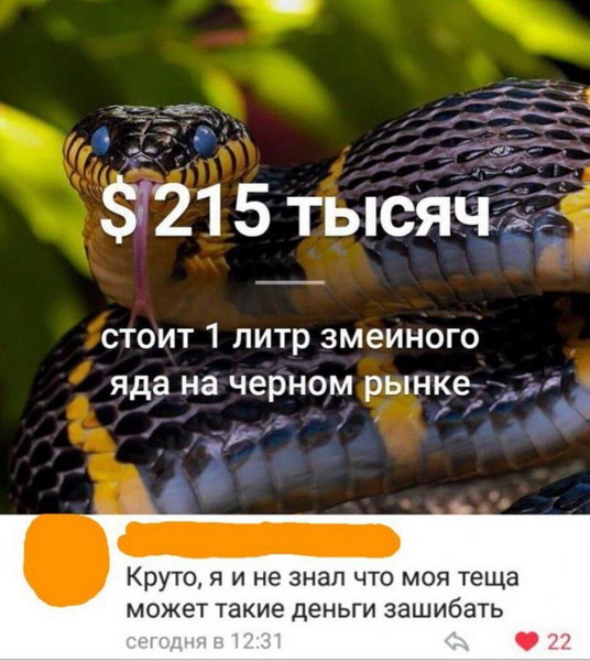 Ну не такой он уж старый... Этот Новый год Ну не такой он уж старый... Этот Новый год