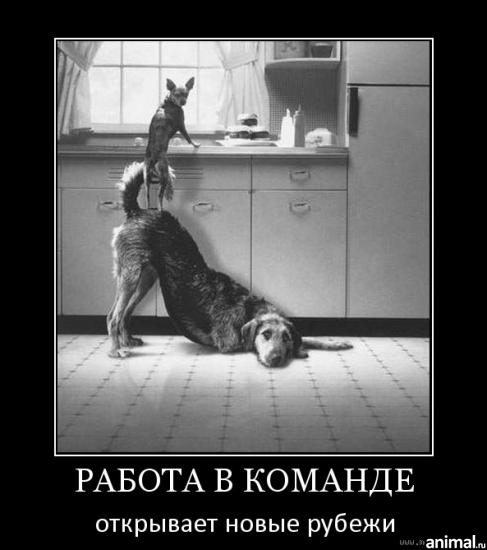 ������� ��������. ���� � ��� ���� ������, �� ��� ��� �������