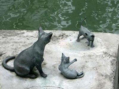 �������� ����� � ��������, ��������.