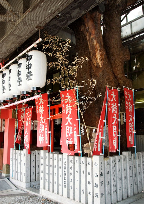 train-station-700-year-old-tree-kayashima-japan-7