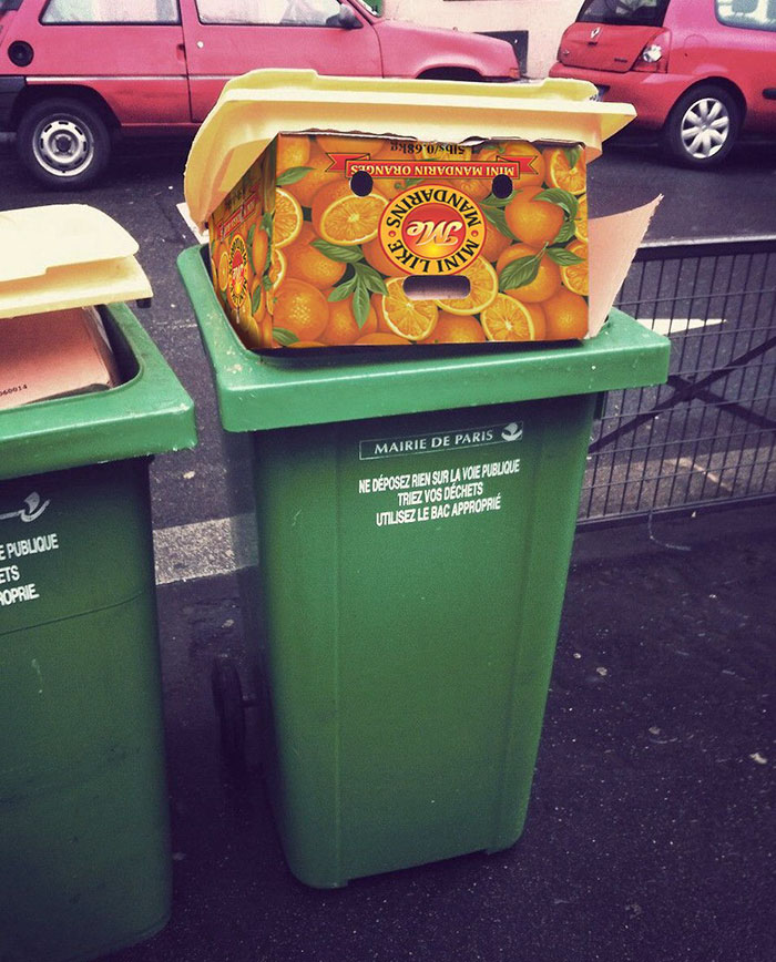 Donald The Bin