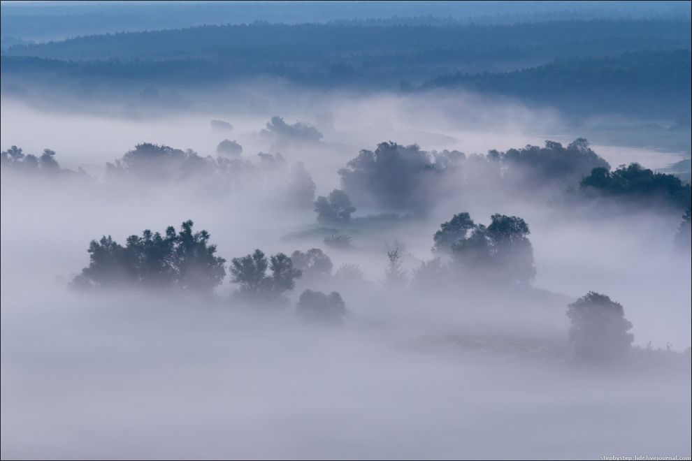 fog09 Королевство туманов