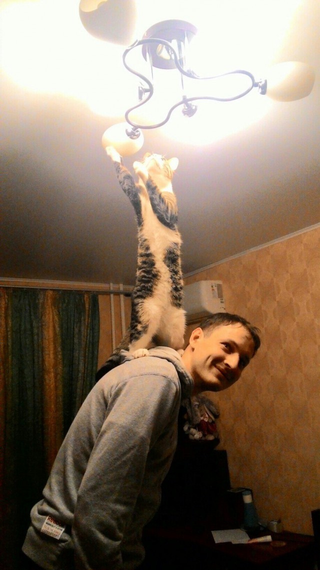 6. ,       , , 