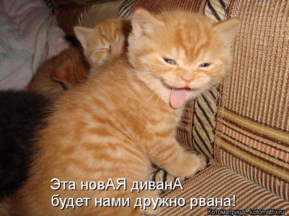 (  )