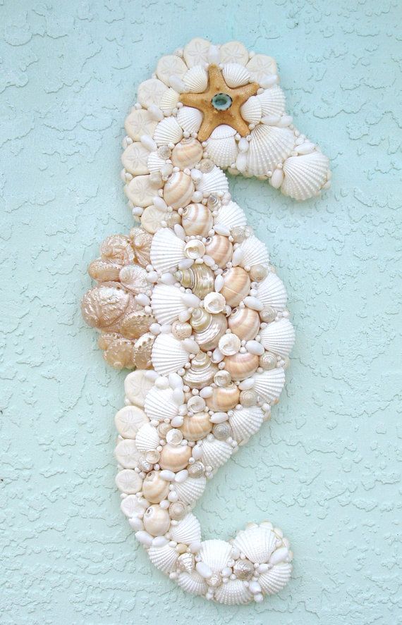   Seashell