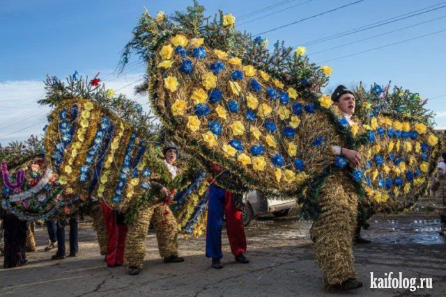 Украинские маразмы (50 фото)