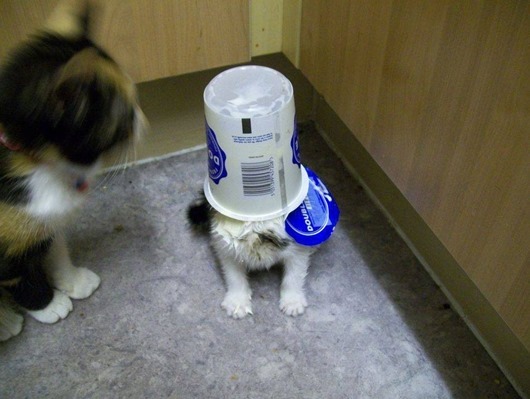 clip_image047