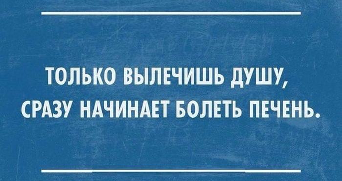 21+ убойных фраз, которые дарят позитив на весь день