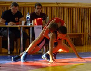 В Невьянске состоялся турнир по греко-римской борьбе