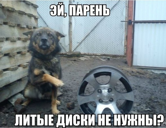 Давайте улыбаться вместе!