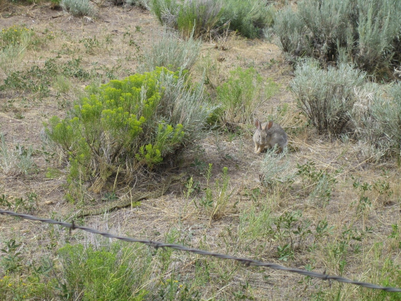 Памятники и национальные парки Америки 19 век, Wyoming, история