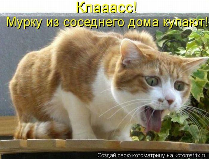 Мысли вслух :)