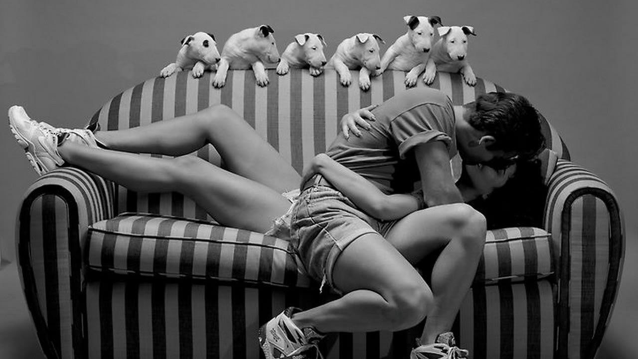 NewPix.ru -   -  