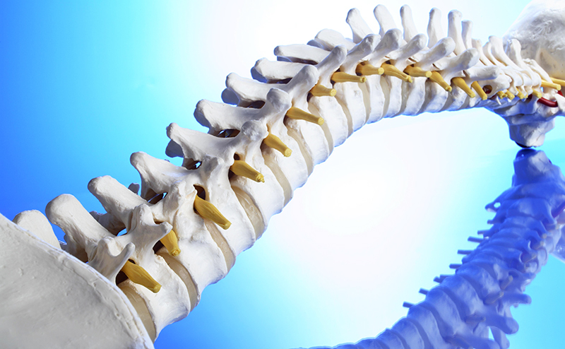 ПНИПУ: изгиб позвоночной артерии влияет на риск инсульта