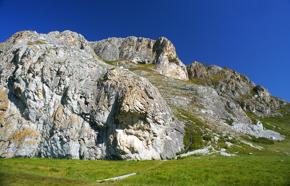 Природа России 5 Природа России 5