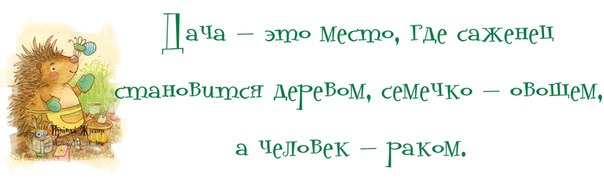 ПРИКОЛЬНЫЕ ФРАЗОЧКИ В КАРТИНКАХ