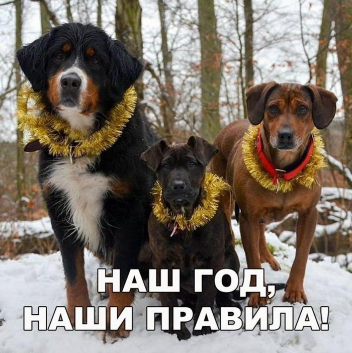 Ну не такой он уж старый... Этот Новый год Ну не такой он уж старый... Этот Новый год