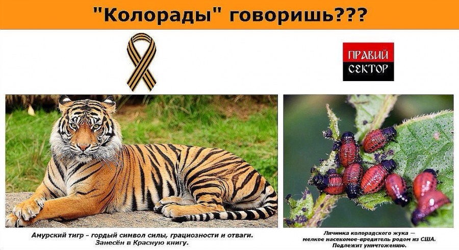 Украинский креатив