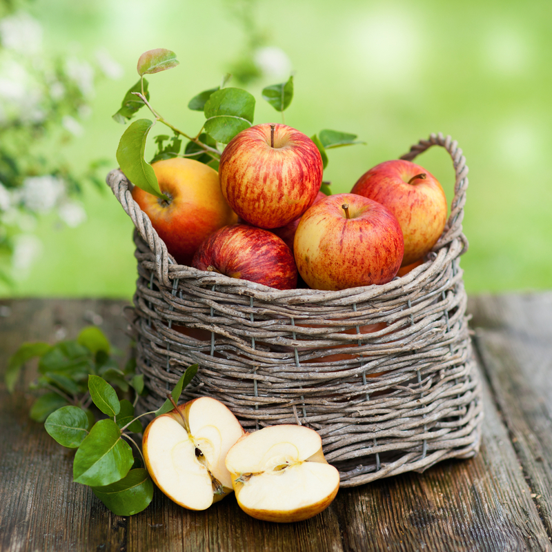 Что делать с урожаем яблок?