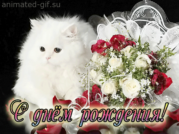 Анимационные открытки на день любви Анимационные открытки на день любви