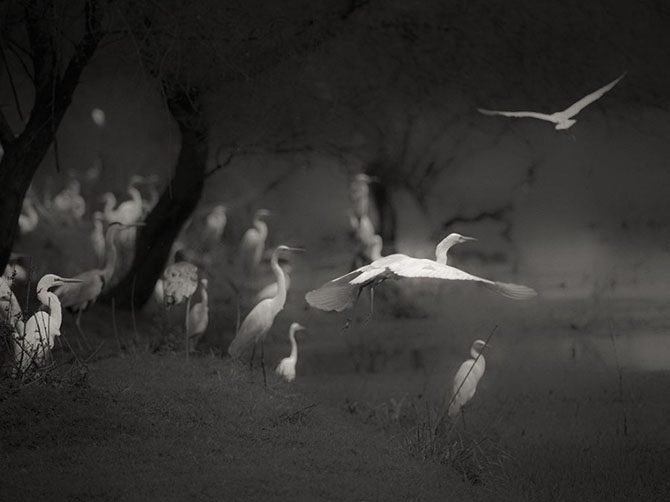 Лучшие фотографии National Geographic Лучшие фотографии National Geographic