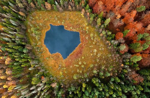 Осеннее преображение природы в фотографиях (23 фото)