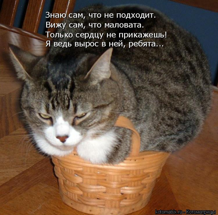 14 (700x691, 428Kb)