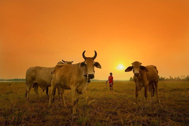 Whanset09 �������� �������� ������� � ����������� �������� �������