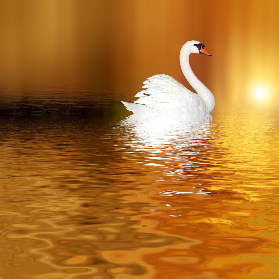  Unconditional Forgiveness  Josep Sumalla  500px