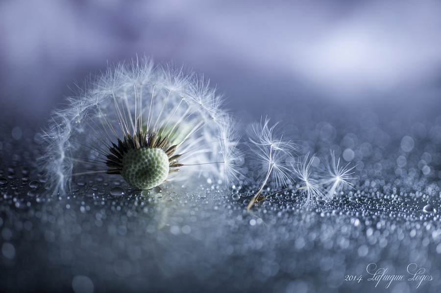 10 ������ ��������������� 2014 ���� �� ������ ����� 500px