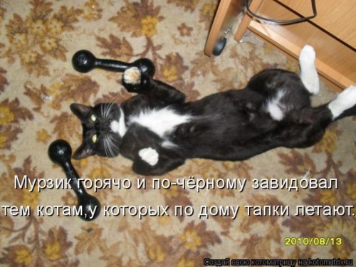 Веселая котоматрица свежак!