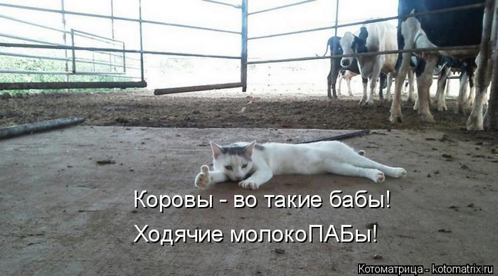 7 (700x388, 239Kb)