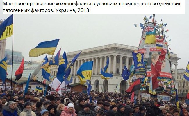 Украиноз — чума XXI века Украиноз — чума XXI века